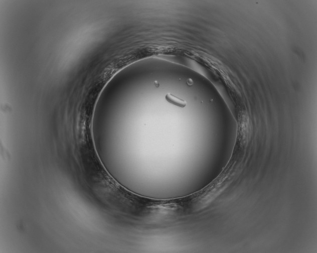 X0000090900525200708061506