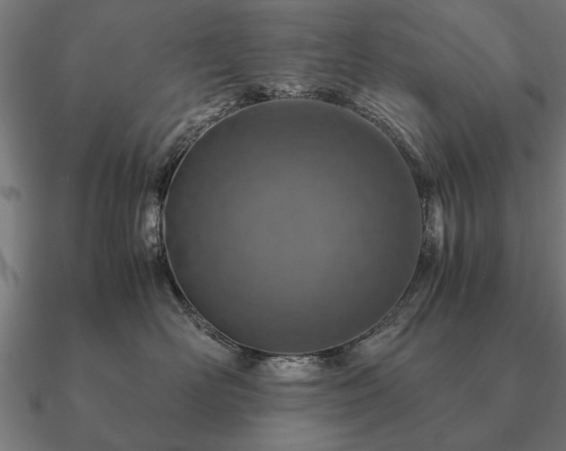 X0000090900526200708061506