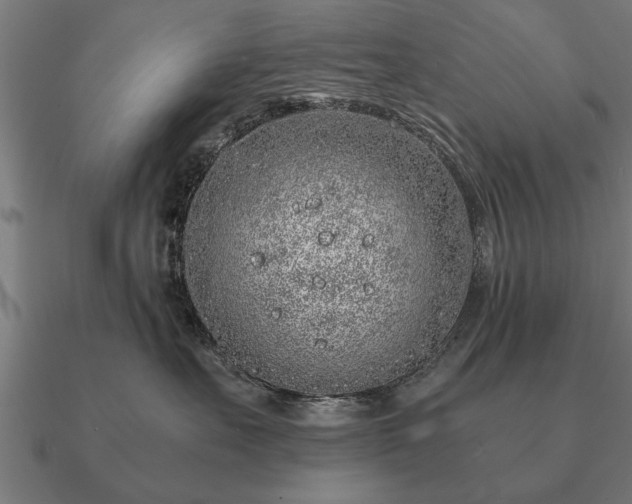 X0000090900527200708061506