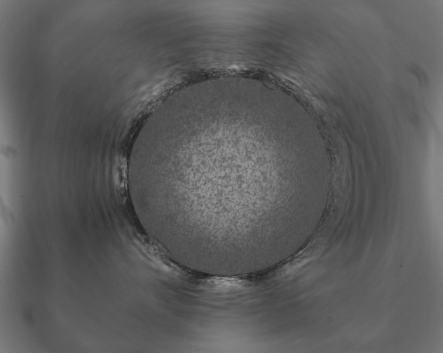 X0000090900528200708061506