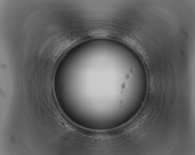 X0000090900529200708061506