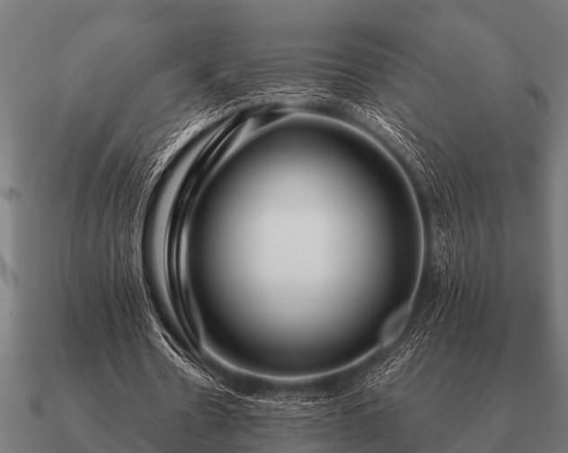 X0000090900530200708061506