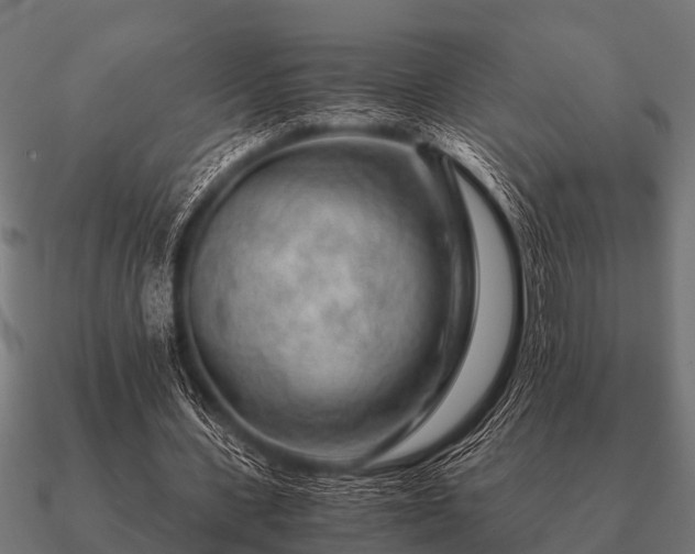 X0000090900531200708061506