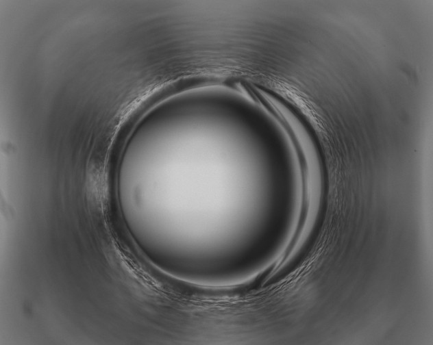 X0000090900532200708061506