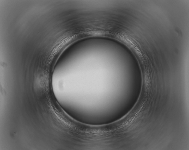 X0000090900533200708061506