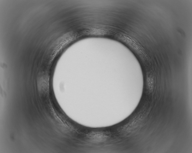 X0000090900534200708061506