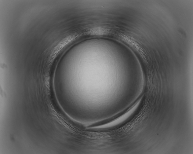 X0000090900535200708061506