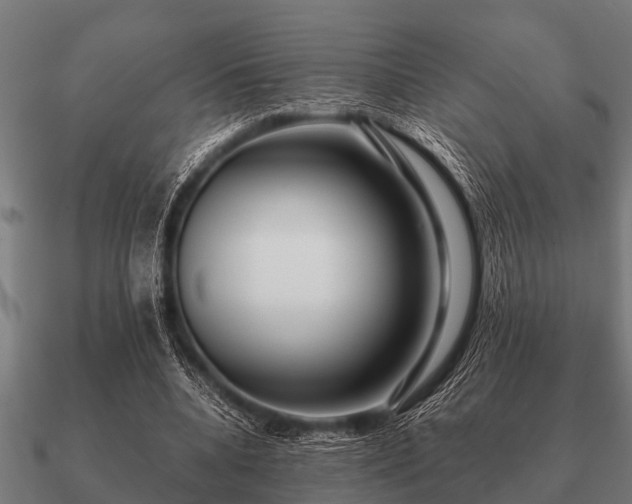 X0000090900536200708061506