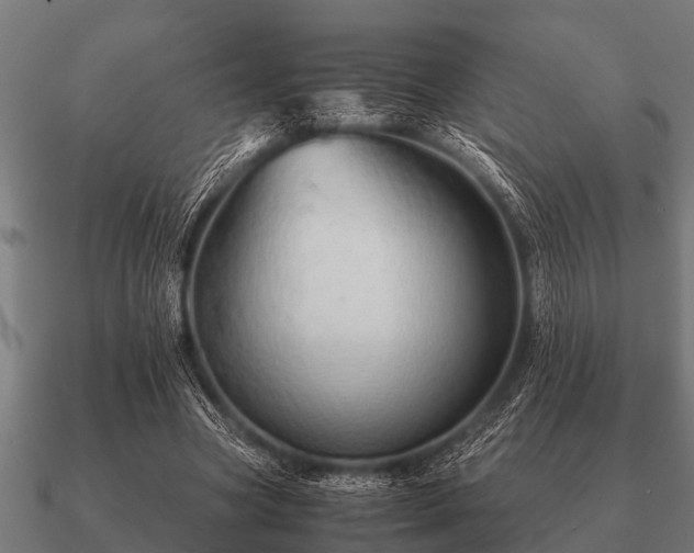 X0000090900537200708061506