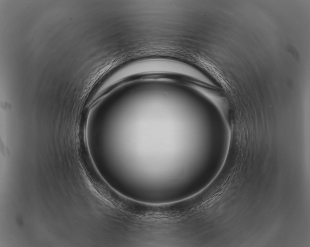 X0000090900538200708061506