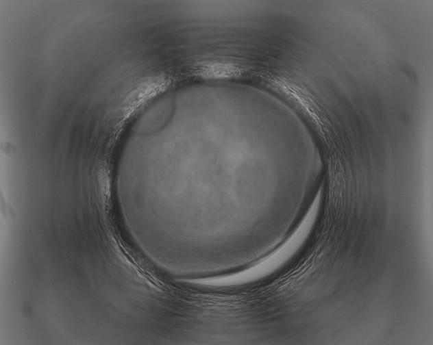 X0000090900539200708061506