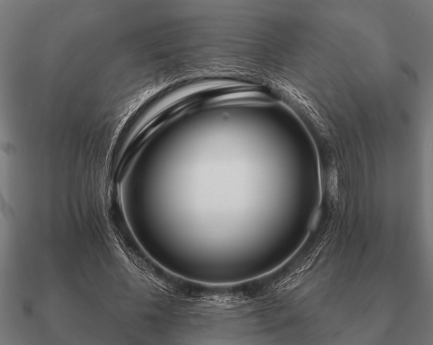 X0000090900540200708061506