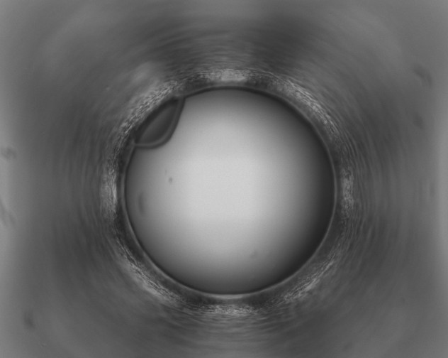 X0000090900541200708061506