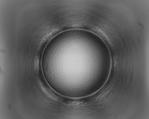 X0000090900542200708061506