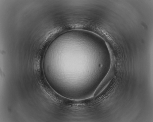 X0000090900543200708061506