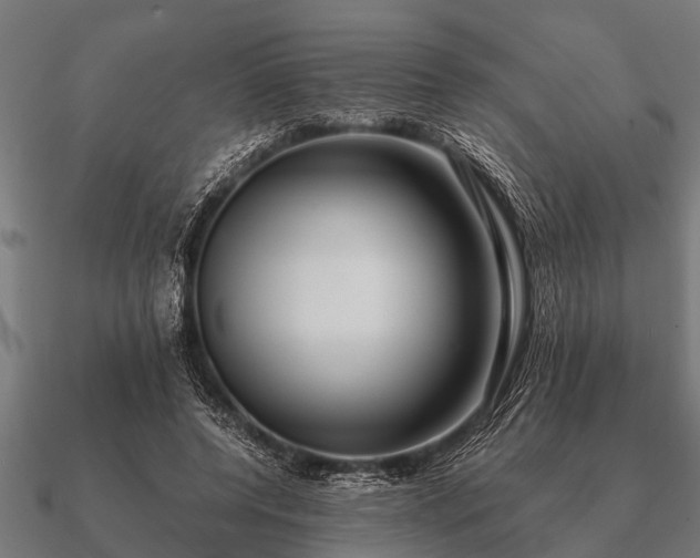 X0000090900544200708061506