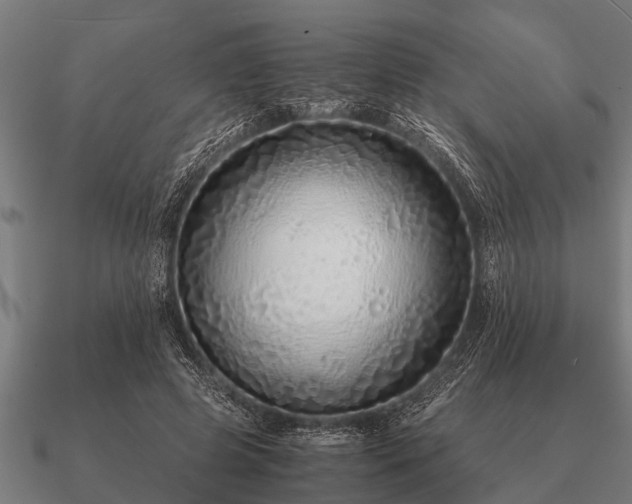 X0000090900545200708061506