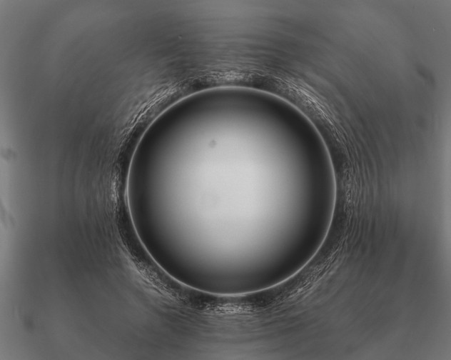 X0000090900546200708061506