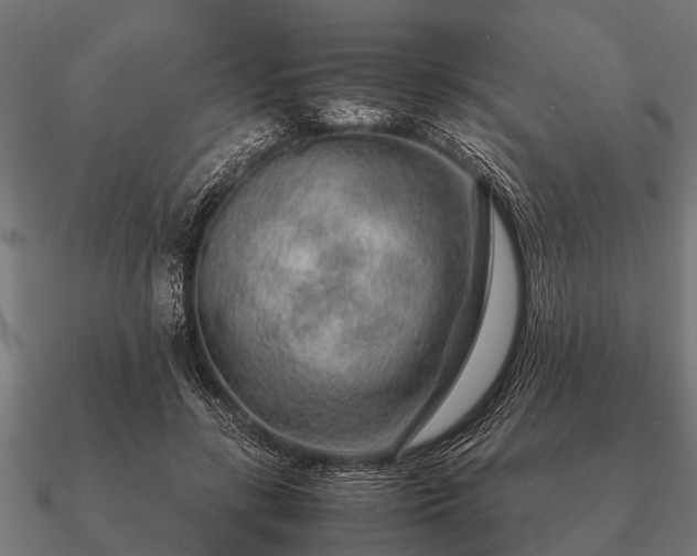 X0000090900547200708061506