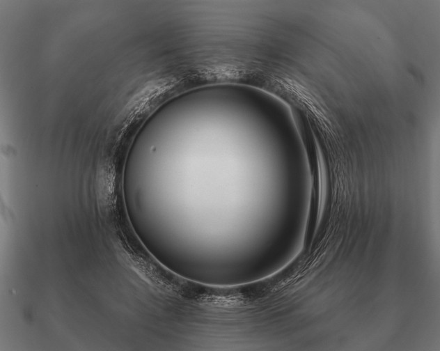 X0000090900548200708061506