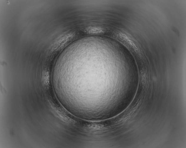 X0000090900549200708061506