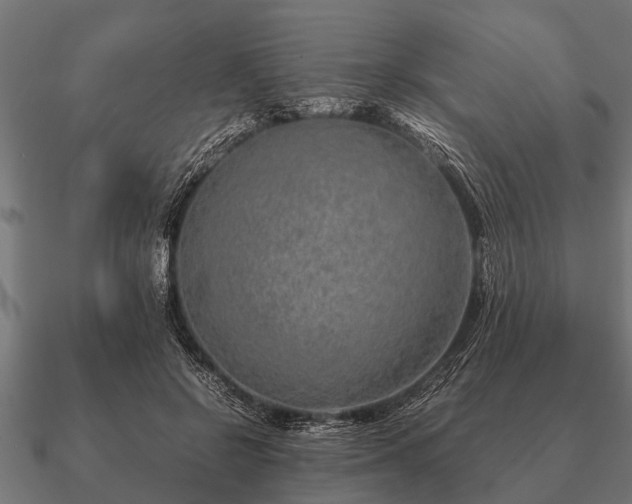 X0000090900550200708061506