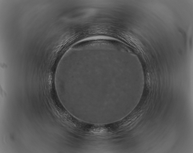 X0000090900551200708061506