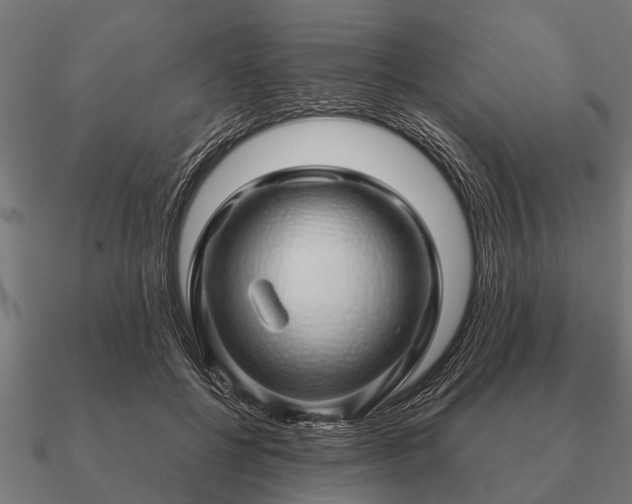 X0000090900552200708061506