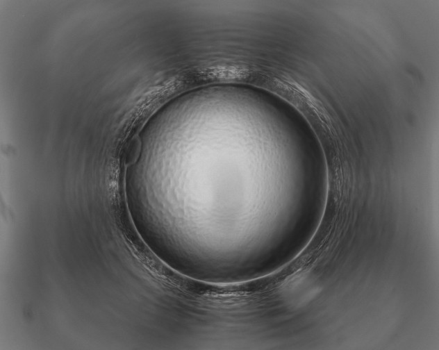 X0000090900553200708061506