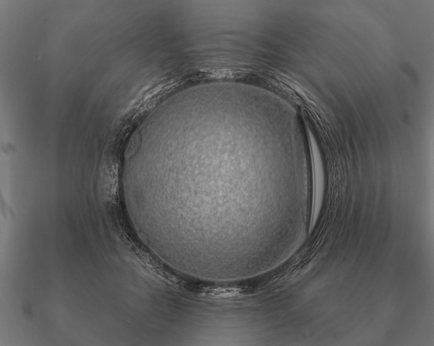 X0000090900554200708061506