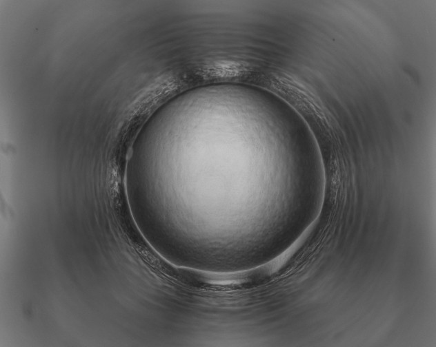 X0000090900555200708061506