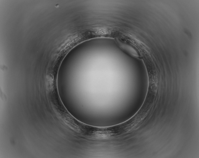 X0000090900556200708061506