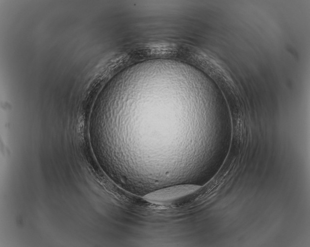 X0000090900557200708061506