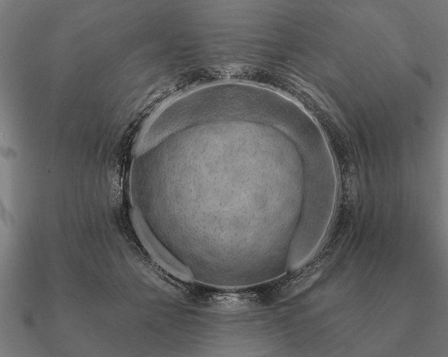 X0000090900558200708061506