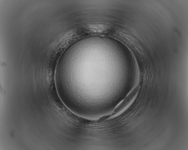 X0000090900559200708061506