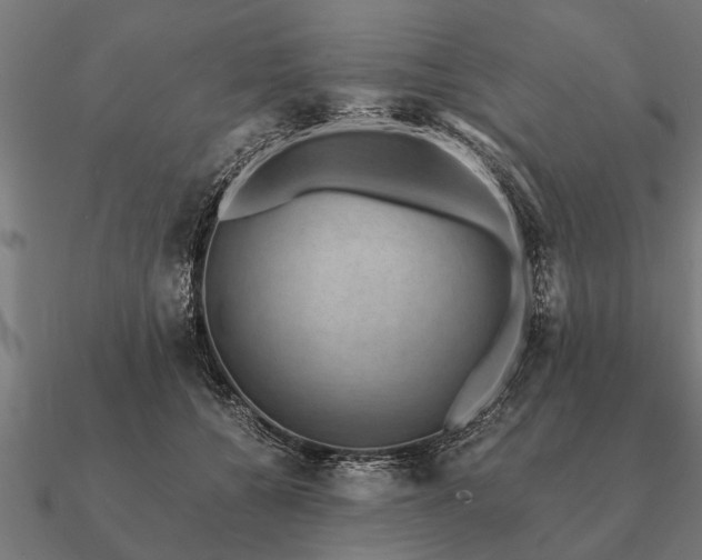 X0000090900560200708061506