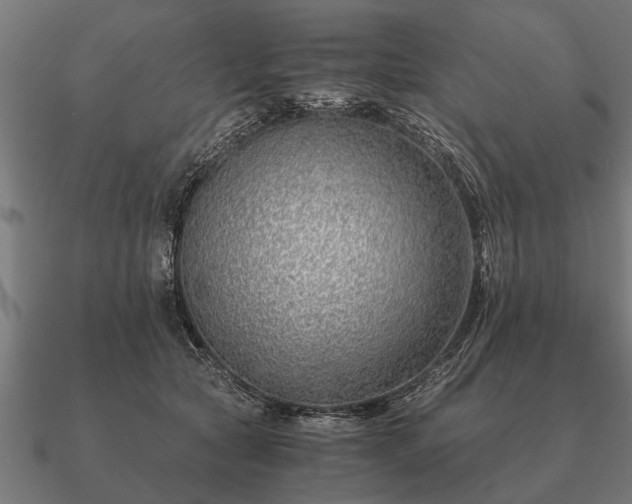 X0000090900561200708061506