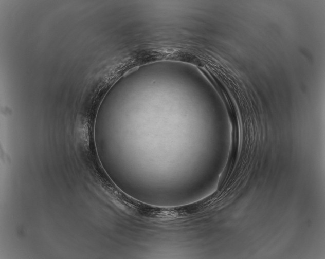 X0000090900562200708061506