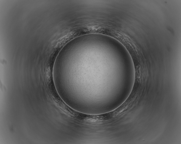 X0000090900563200708061506