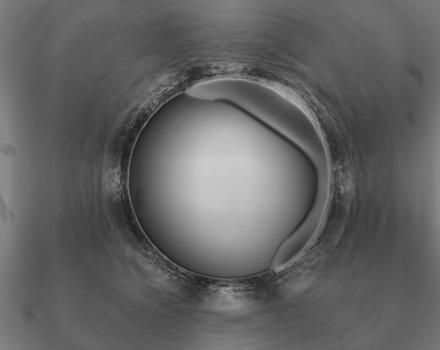 X0000090900564200708061506