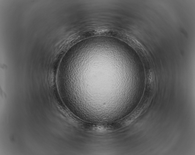 X0000090900565200708061506