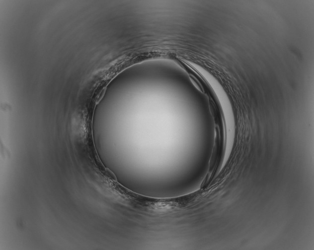 X0000090900566200708061506