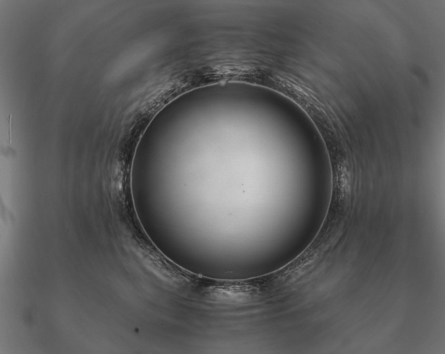 X0000090900567200708061506