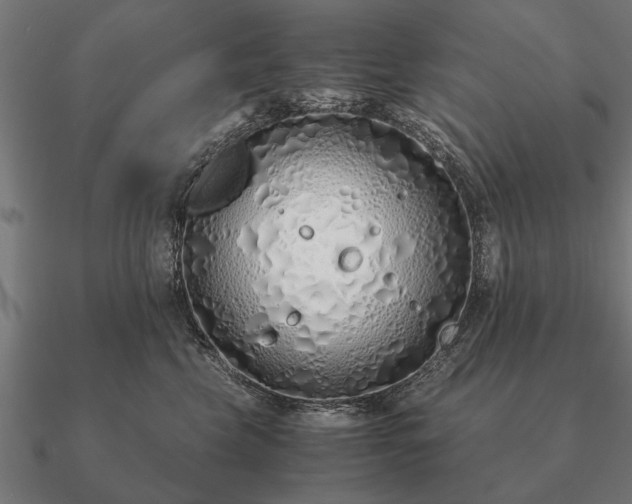 X0000090900569200708061506