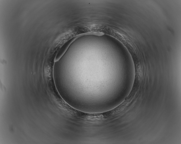 X0000090900571200708061506