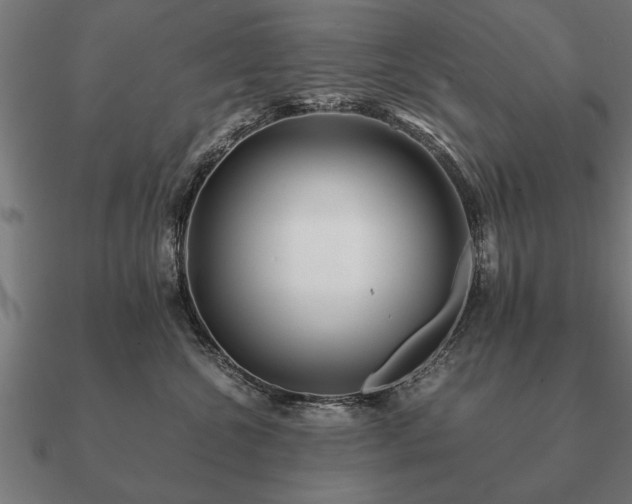 X0000090900572200708061506