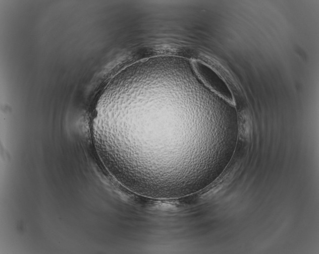 X0000090900573200708061506