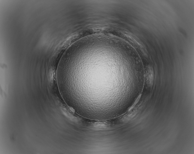 X0000090900574200708061506