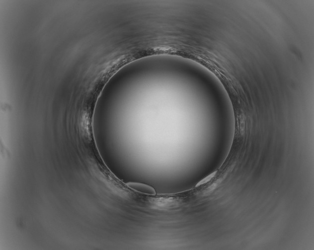 X0000090900575200708061506