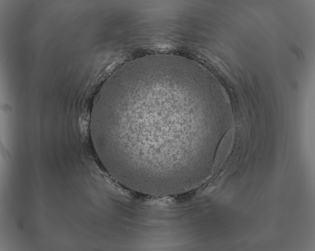 X0000090900576200708061506